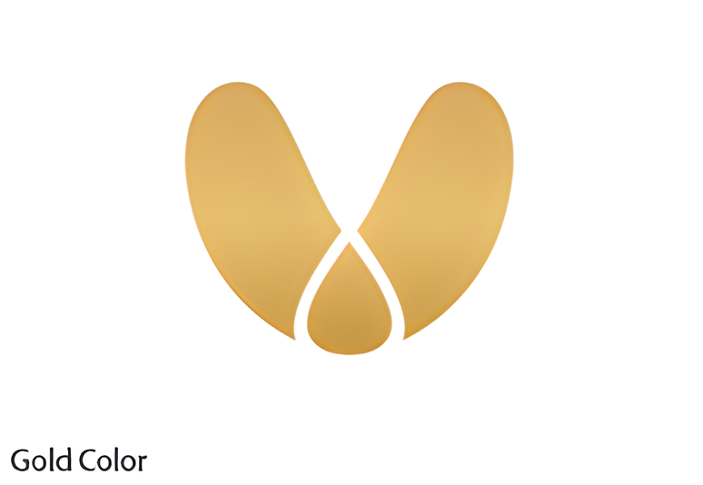 DAESUN Gold Color 심볼